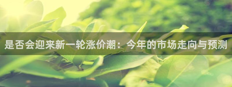mg不朽情缘免费游戏视频