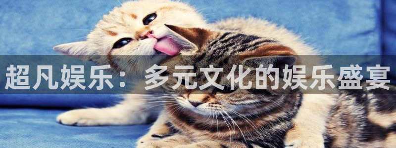mg不朽情缘讲解
