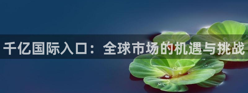 mg游戏不朽情缘在线