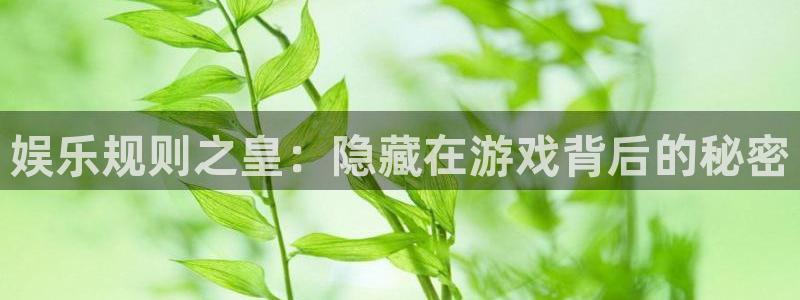 mg不朽情缘官网