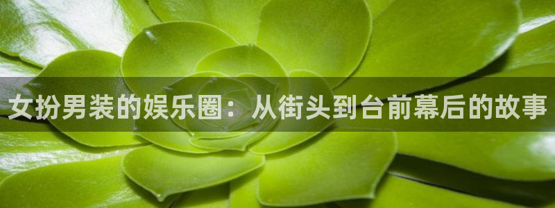 mg不朽情缘