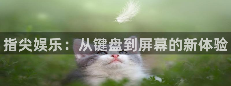 不朽情缘mg
