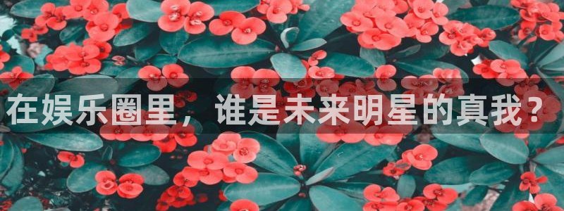 不朽情缘官方网站下载