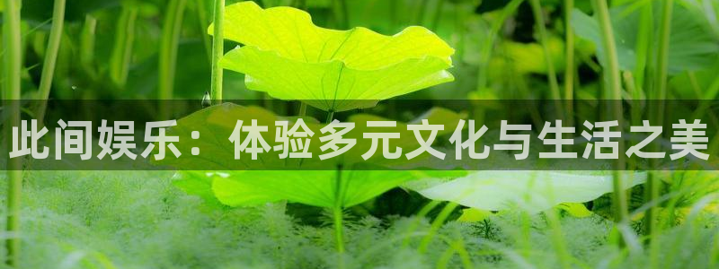 mg电子不朽情缘