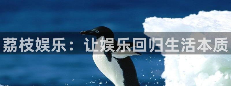 mg不朽情缘玩法