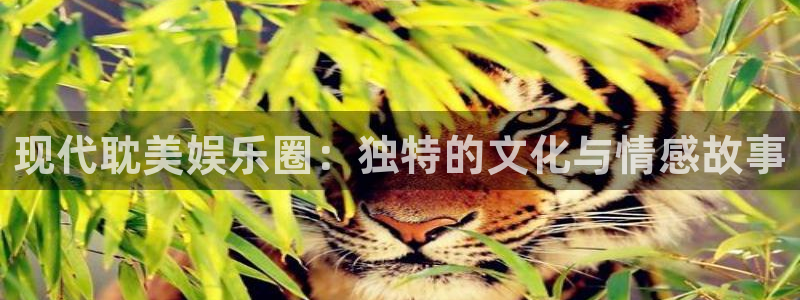 mg电子不朽情缘