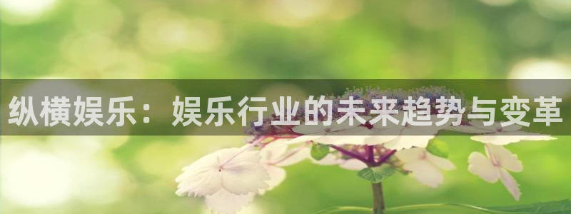 mg不朽情缘5滴血大奖：纵横娱乐：娱乐行业的未来趋势与变革