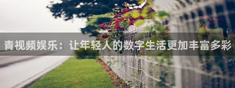 不朽情缘五滴血：青视频娱乐：让年轻人的数字生活更加丰富多彩