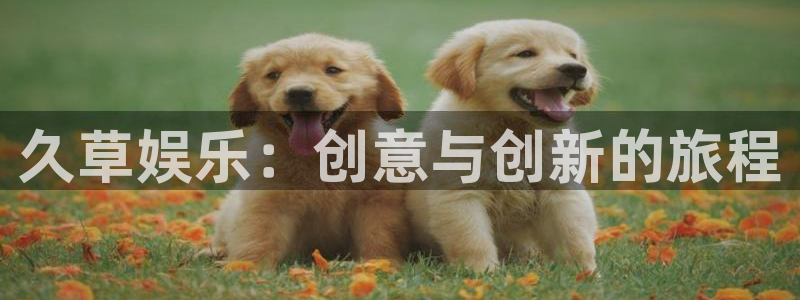 mg不朽情缘手机游戏：久草娱乐：创意与创新的旅程