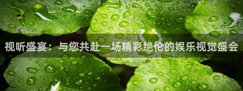 不朽情缘5滴血多少倍：视听盛宴：与您共赴一场精彩绝伦的娱乐视觉盛会