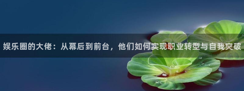mg不朽情缘有5滴血吗：娱乐圈的大佬：从幕后到前台，他们如何实现职业转型与自我突破