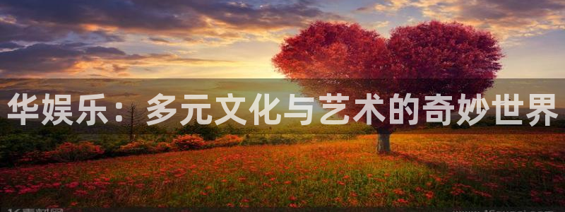 mg不朽情缘怎么玩：华娱乐：多元文化与艺术的奇妙世界