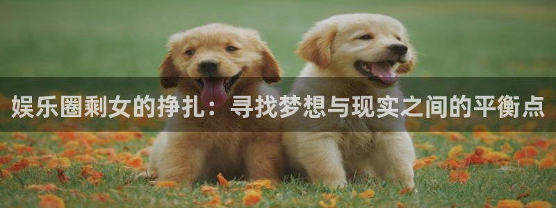 mg不朽情缘爆分后怎么拿奖励：娱乐圈剩女的挣扎：寻找梦想与现实之间的平衡点