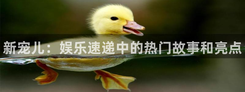 mg游戏不朽情缘在线：新宠儿：娱乐速递中的热门故事和亮点