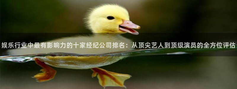 mg不朽情缘平台：娱乐行业中最有影响力的十家经纪公司排名：从顶尖艺人到顶级演员的全方位评估