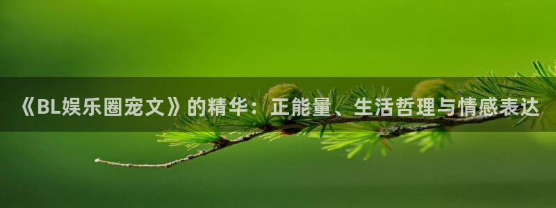mg不朽情缘滴血：《BL娱乐圈宠文》的精华：正能量、生活哲理与情感表达