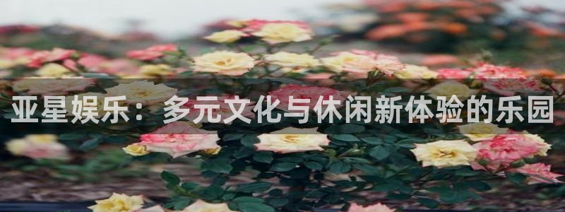 mg不朽情缘免费游戏视频：亚星娱乐：多元文化与休闲新体验的乐园