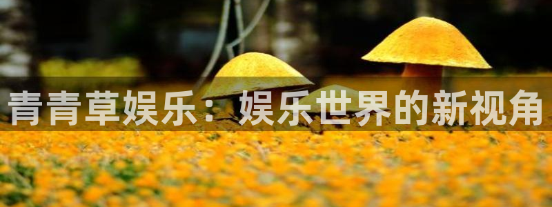 mg不朽情缘元爆万：青青草娱乐：娱乐世界的新视角