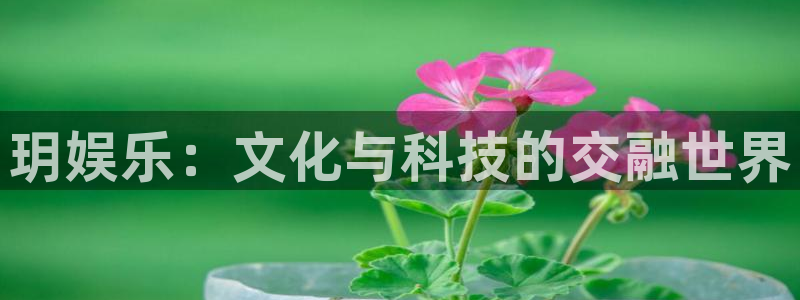 mg不朽情缘下载：玥娱乐：文化与科技的交融世界