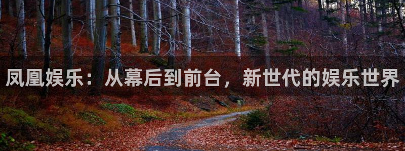 mg不朽情缘：凤凰娱乐：从幕后到前台，新世代的娱乐世界