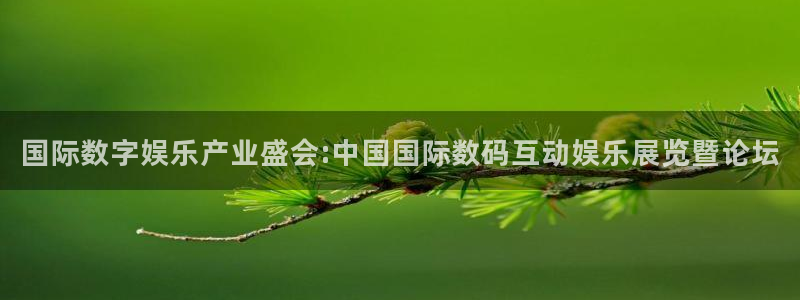 mg不朽情缘官网：国际数字娱乐产业盛会:中国国际数码互动娱乐展览暨论坛