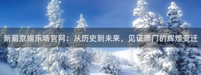 mg不朽情缘免费游戏视频：新葡京娱乐场官网：从历史到未来，见证澳门的辉煌变迁